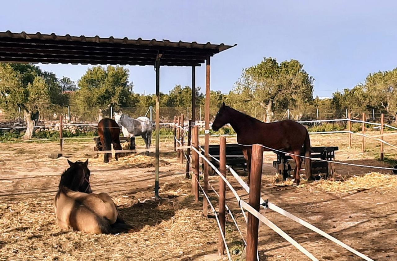 Chalet Vacacional Con Piscina Privada Y Barbacoa تاراغونا المظهر الخارجي الصورة